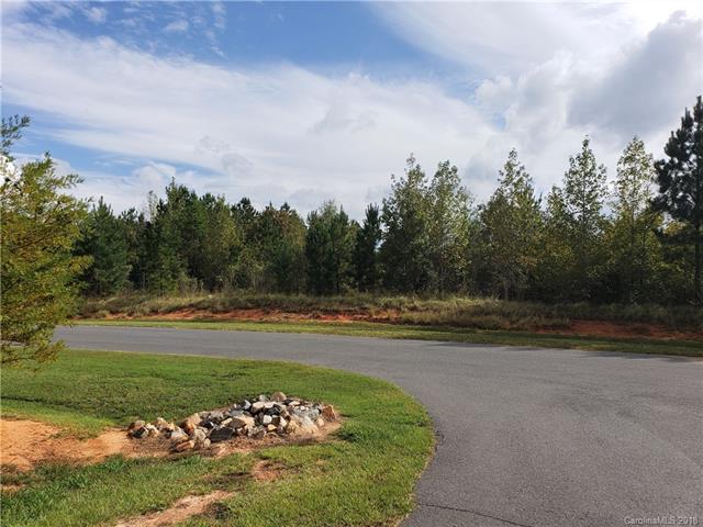 1839 White Fawn Lane - Photo 1