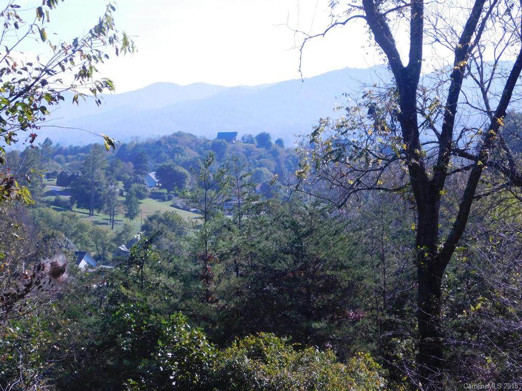 Lot 61 Cathey Cove Road - Photo 1