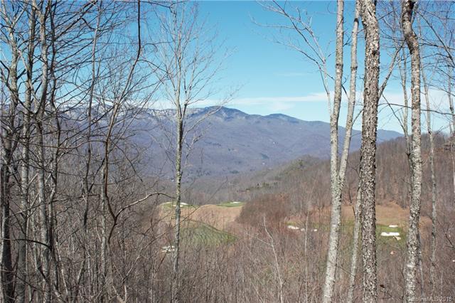 59 Old Growth Way - Photo 1