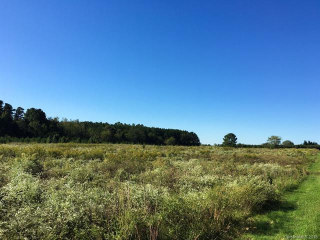 TBD Lambs Grill Road - Photo 1