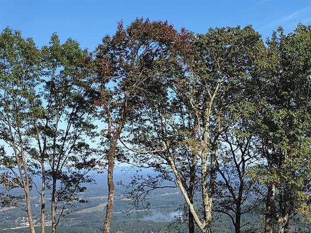00 White Oak Mountain Drive - Photo 1