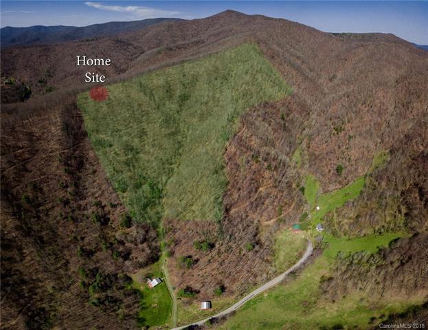 TBD Little Creek Road - Photo 1