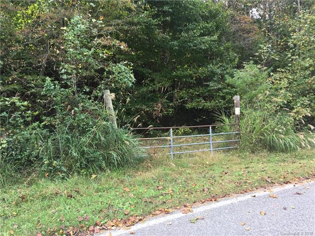 000 Bee Tree Lane - Photo 1