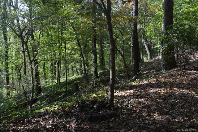 TBD Beaverdam Road - Photo 1