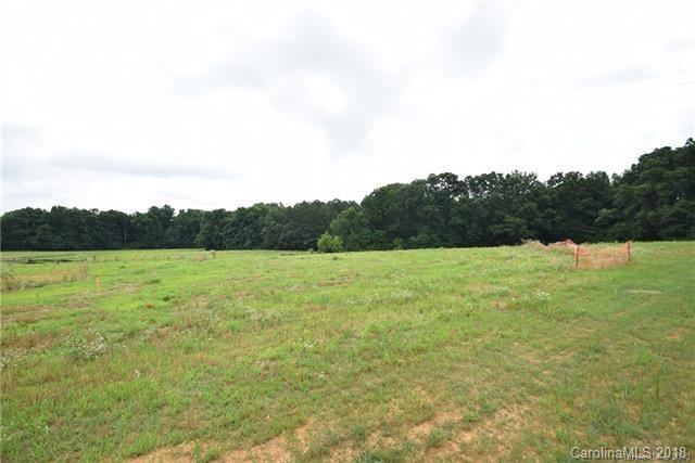 2104 Goose Creek Farm Lane - Photo 1