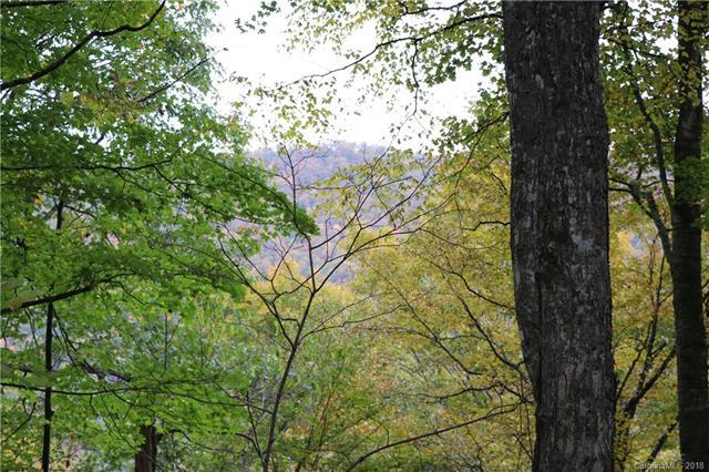 2062 Serenity Mountain Road - Photo 1