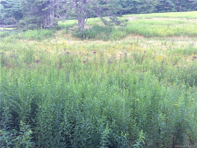 0 Sweetpea Lane - Photo 1