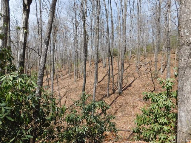TBD Mountain Crest Drive - Photo 1