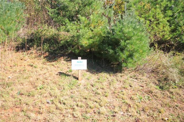 Lot# 203 Johns Ridge Parkway - Photo 1