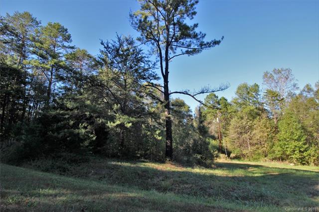 Lot A Mary Hope Lane - Photo 1