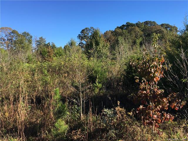0 Oakland Road - Photo 1
