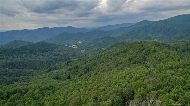 1300 Elk Mountain Scenic Highway - Photo 1