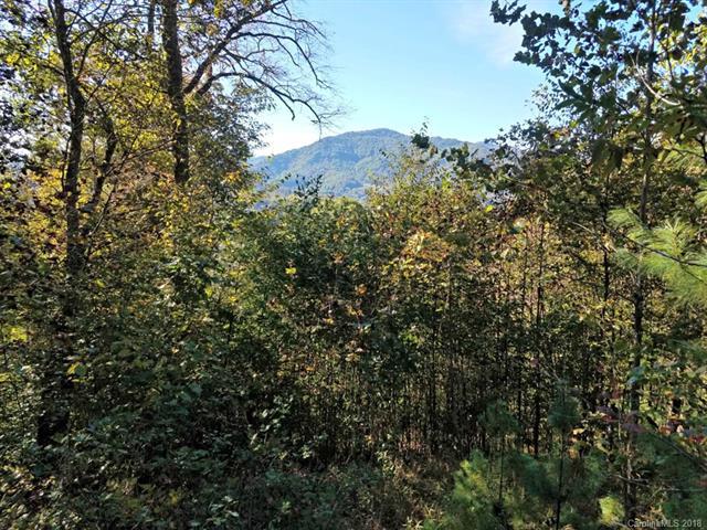 000 Hamlet Road - Photo 1