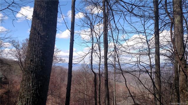 0000 Wild Turkey Drive - Photo 1