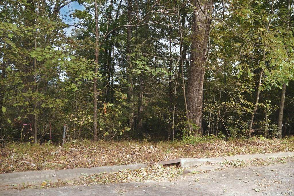 V/L Pleasant Woods Drive - Photo 1