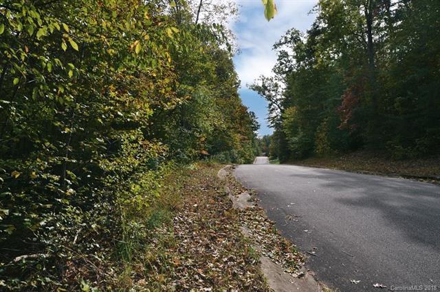 V/L Pleasant Meadow Estates Drive - Photo 1