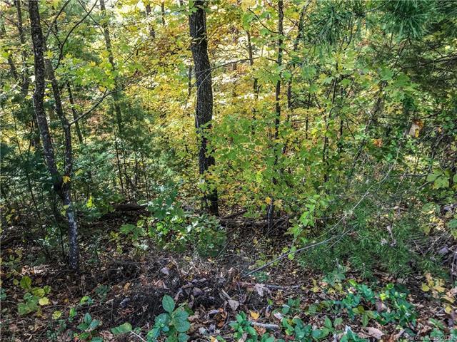 44 Elk Mountain Ridge - Photo 1