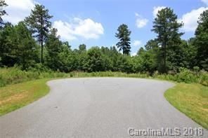 1403 Ron Whicker Drive - Photo 1