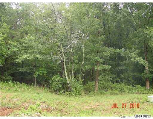 122 Dove Meadows Lane - Photo 1