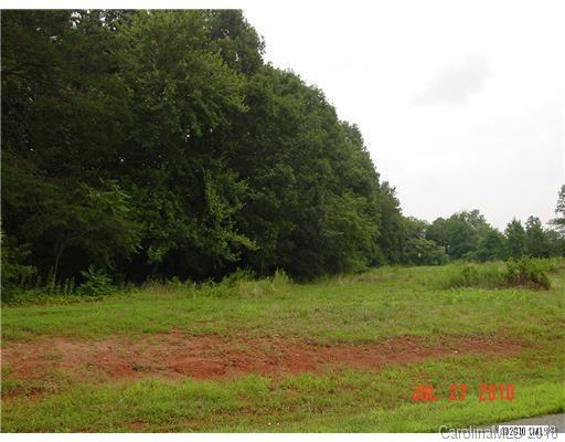 114 Dove Meadows Lane - Photo 1