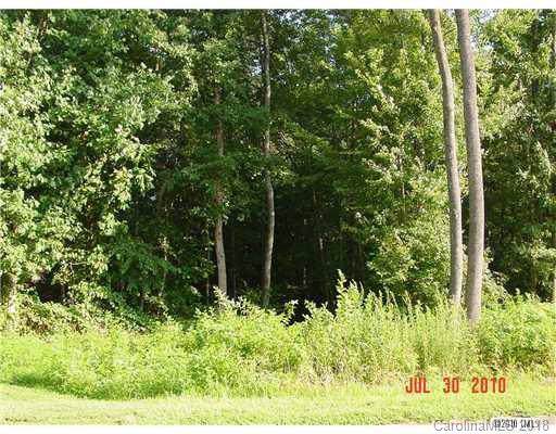 123 Dove Meadows Lane - Photo 1