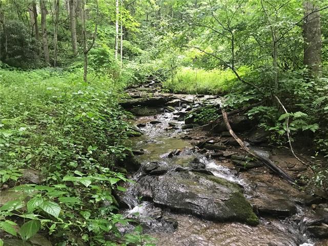 0 Cameron Mountain Road - Photo 1