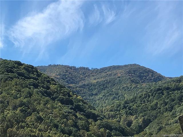 53 Tug Fork Trail - Photo 1