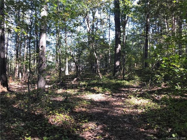 5300 Ivy Springs Lane - Photo 1