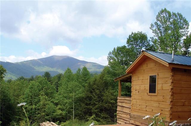 5830 Nc 209 Highway - Photo 1