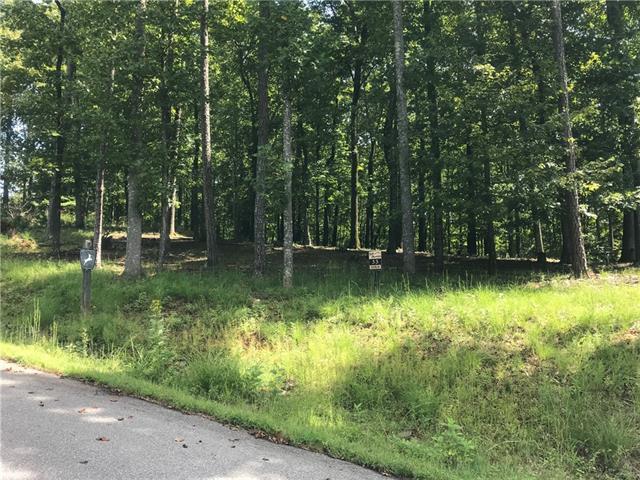 00 Ashe View Drive - Photo 1