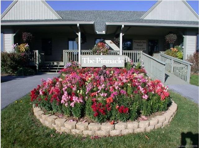 301 Pinnacle Inn Road - Photo 1