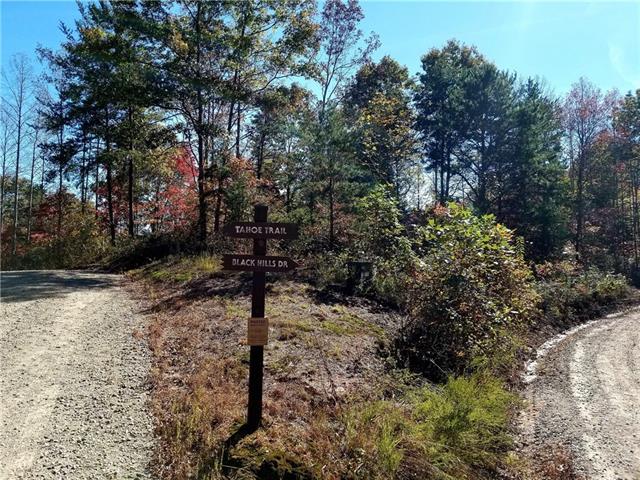 6060 Tahoe Trail - Photo 1