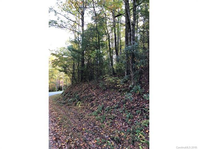 000 Old Ccc Road - Photo 1