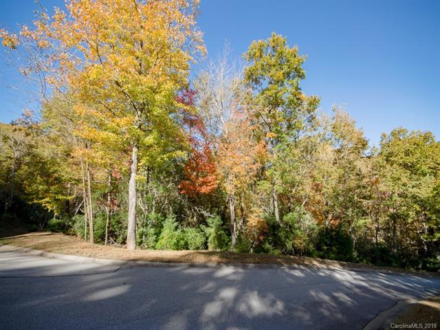 LOT 88 Running Deer Trail - Photo 1