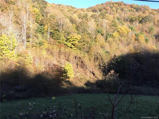 0 Foster Creek Road - Photo 1
