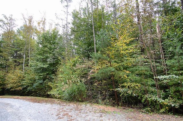 V/L Spring Lake Trail - Photo 1