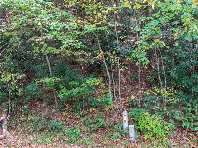 Lot 20 Hunters Glen Lane - Photo 1