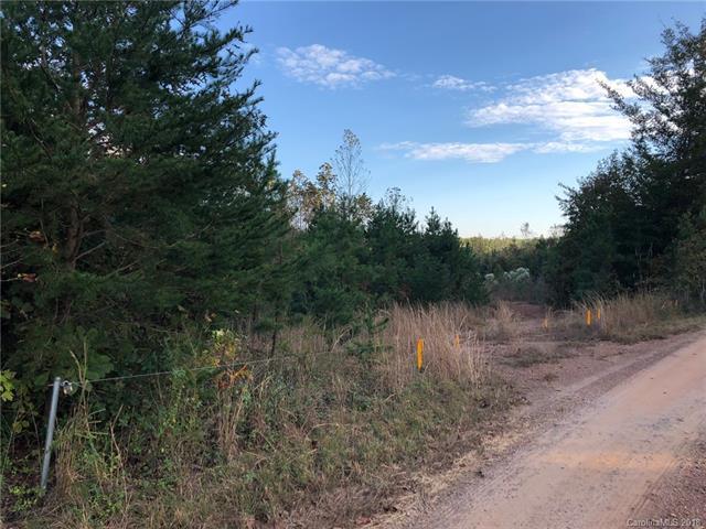 000 Catalina Lane - Photo 1