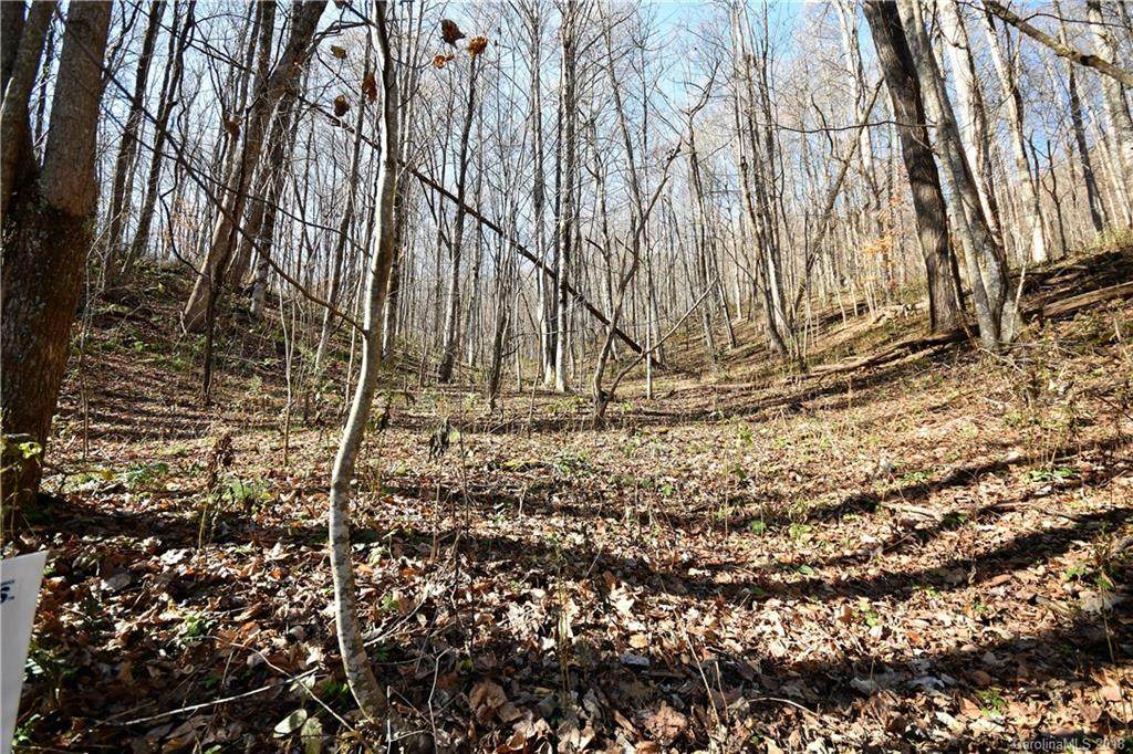 #10 Tranquility Trail - Photo 1