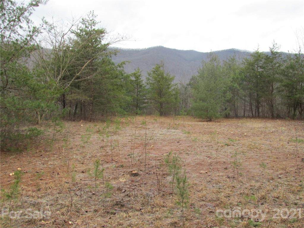 00 Buffalo Road - Photo 1