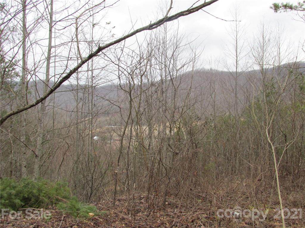 SR1254 Buffalo Road - Photo 1