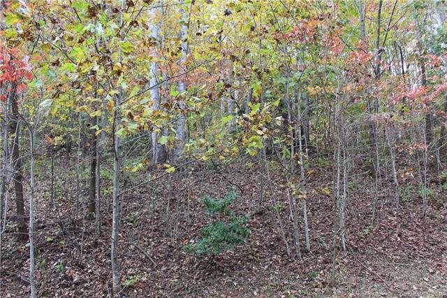Lot 116 Atlantic Falls Trail - Photo 1