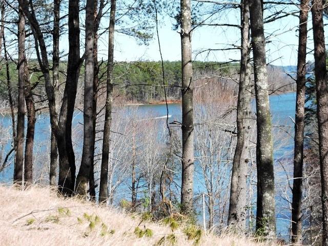 3514 Peninsula Point Drive - Photo 1