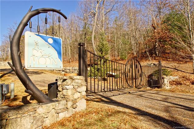 580 Sahalee Trail - Photo 1