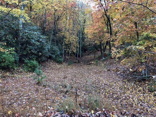 LOT 80 Running Deer Trail - Photo 1