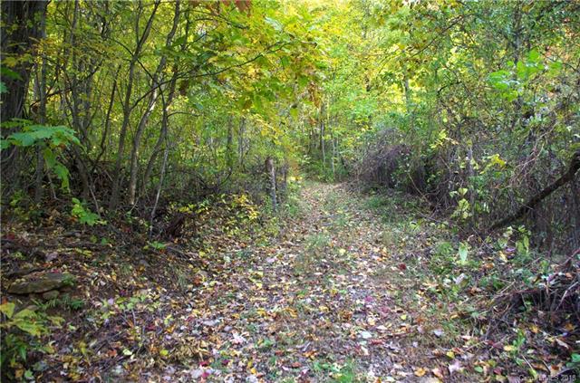 TBD Pinnacle Mountain Road - Photo 1