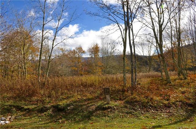 L75 Eagles Nest Trail - Photo 1