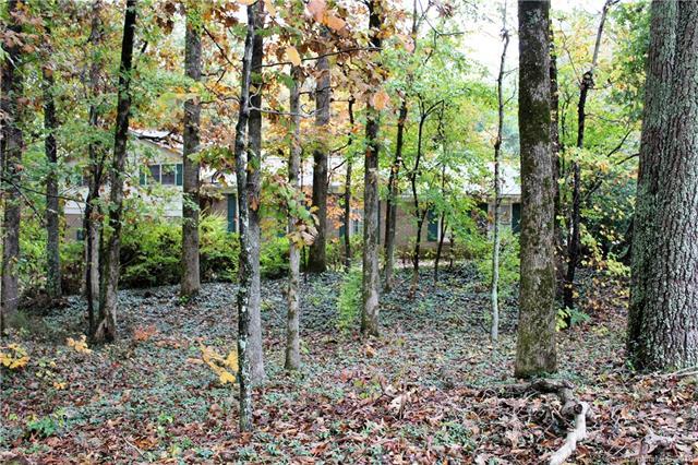 1225 Brawley School Road - Photo 1