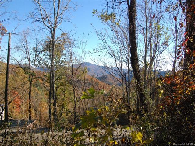 LOT 3 Mountain Cove Road - Photo 1