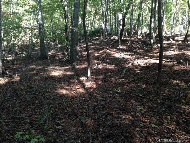 LOT 69 Cougar Lane - Photo 1